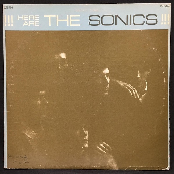 DMZ レコード　レアなuk盤　パンク　ガレージパンク DMZ レコードレアなuk盤パンクガレージパンク