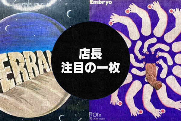 魚用品・水草 【廃盤】 希少 バックグラウンドツリー