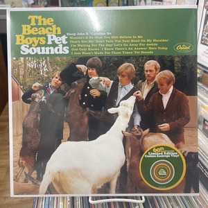 新宿ロックレコードストア限定】60周年記念盤！Beach Boysによる『Pet