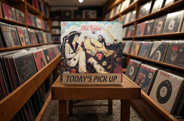 レコード 27枚セット まとめて 洋楽 インディー ロック フォーク レコード 27枚セット まとめて 洋楽 インディー ロック フォーク