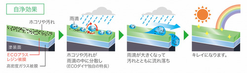 06.図解ECOプラスダイヤモンドキーパー|2りんかん-1024x303