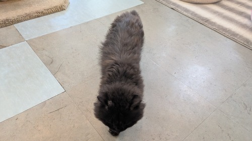 PXL_20250624_053502024[1]