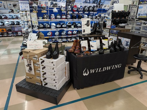 PXL_20251026_005818827