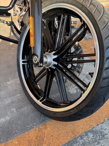 IMG_7592.jpg¥Ï¡¼¥ì¡¼¥Û¥¤¡¼¥ë£·