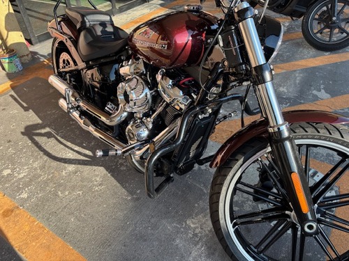 IMG_7593.jpg¥Ï¡¼¥ì¡¼¥Û¥¤¡¼¥ë£¸