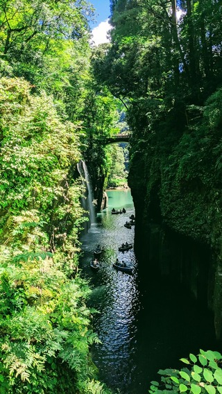 PXL_20250723_041527606