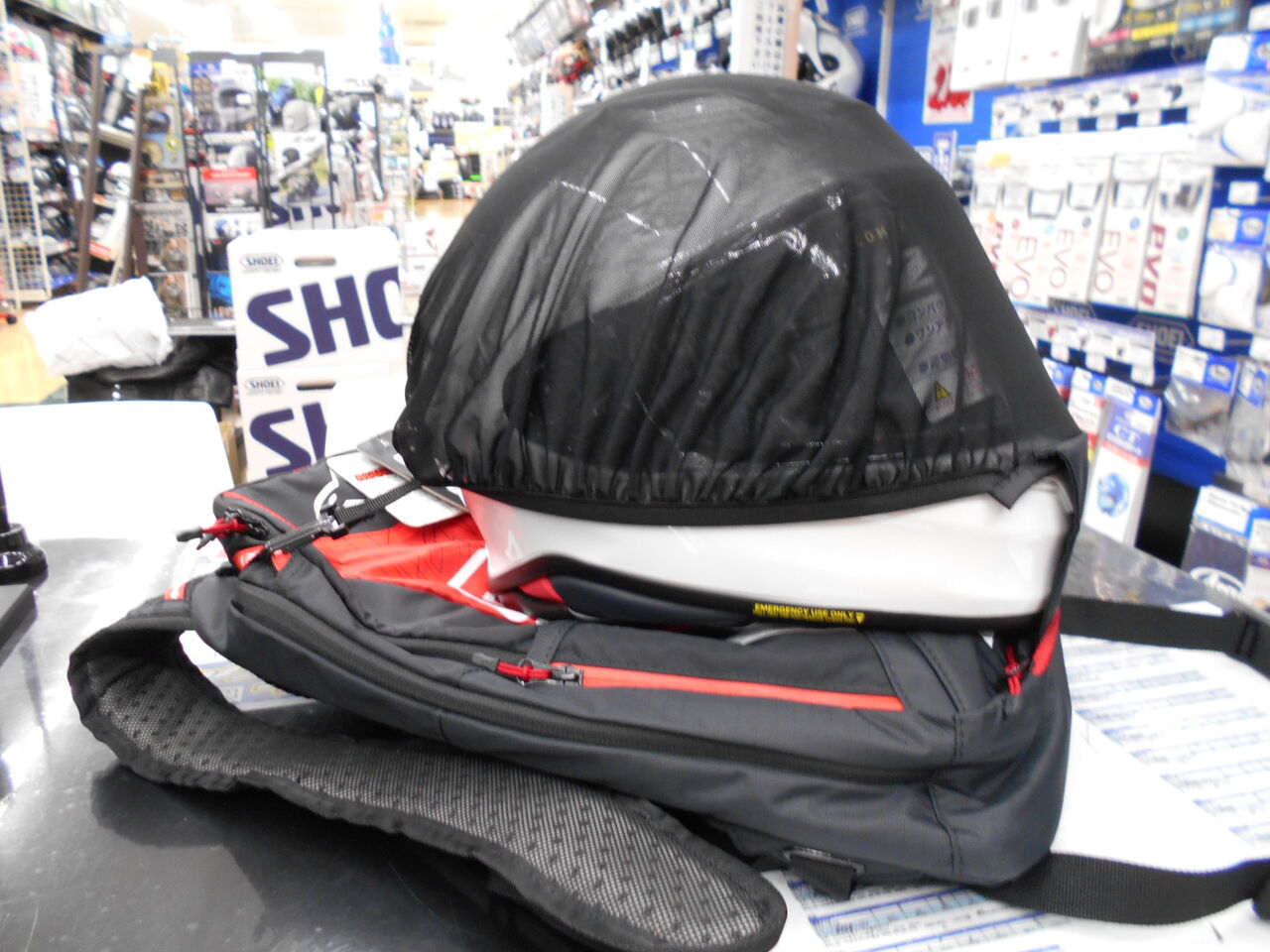 新潟】Alpinestars好きな方、必見です！！ : 2りんかんブログ