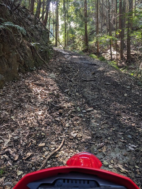 PXL_20251014_024300419