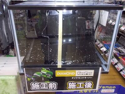 DSCN5524