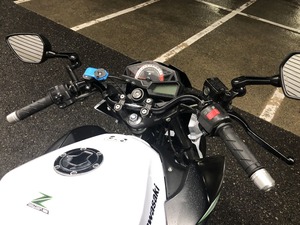 IMG_3231