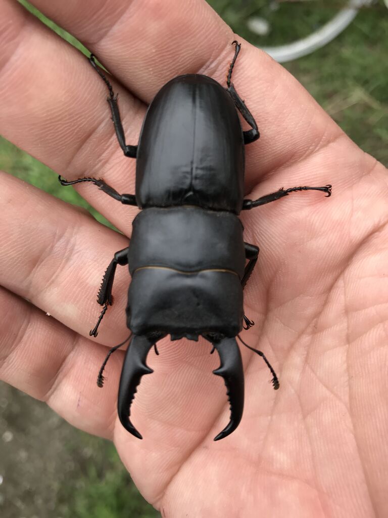 座間2りんかん】キーパーコーティングが20％OFF！イベント当日のみ