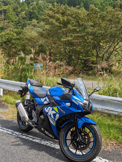 GSX¥Ä¡¼¥ê¥ó¥°¡ÊÎ뼯¡Ë