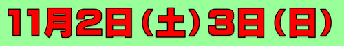11·î2.3Æü