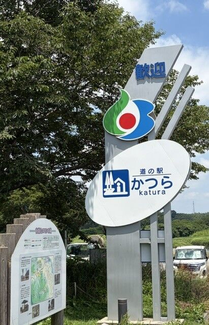 image0 (29)