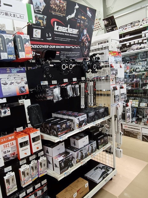 ¥«¥¨¥Ç¥£¥¢¡¡Á´ÂβèÁü