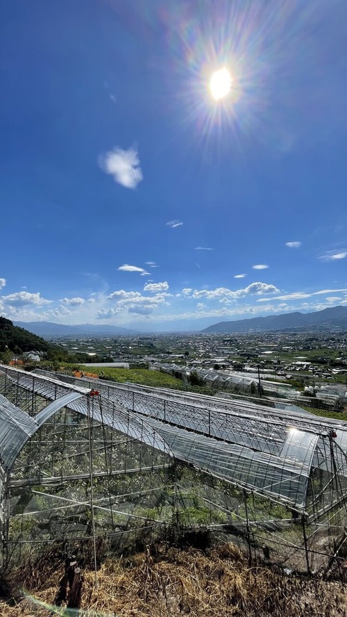 塩山牛奥