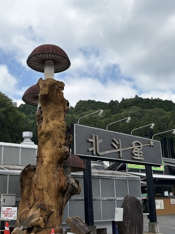 image3 (16)