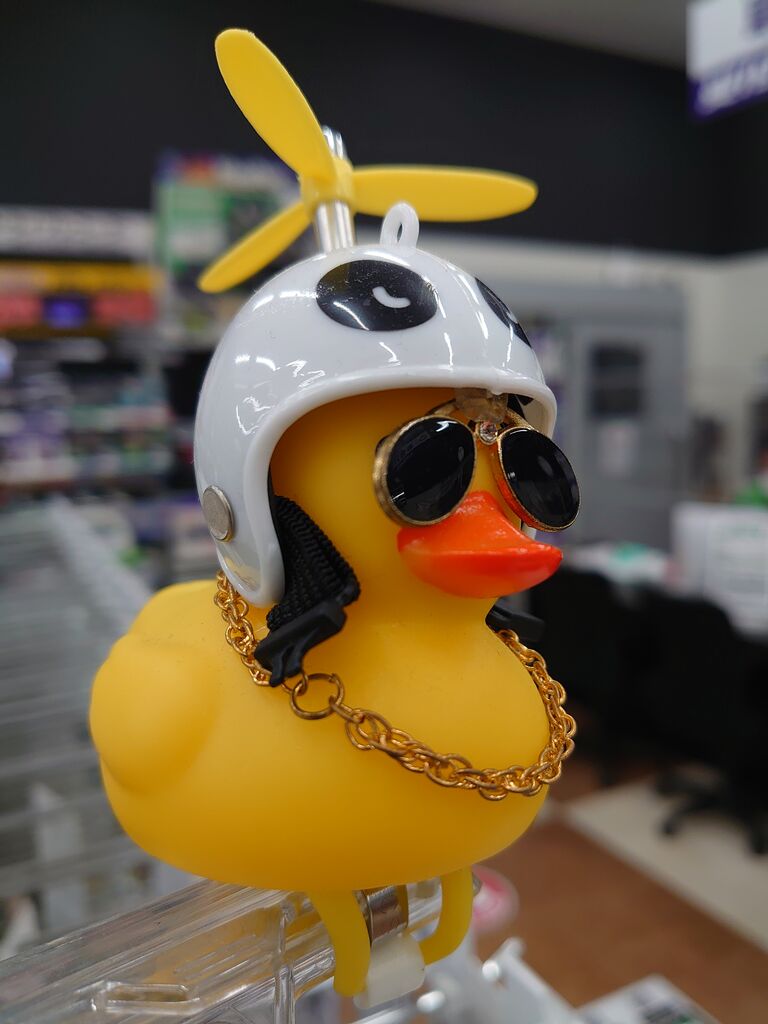 厚木2りんかん】アヒル隊長 絶好調！！ : 2りんかんブログ