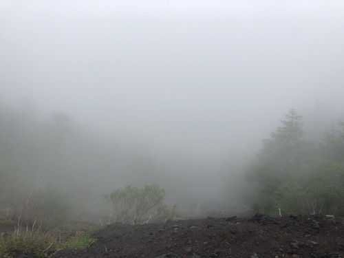 ¼Ì¿¿ 2018-06-14 11 09 10