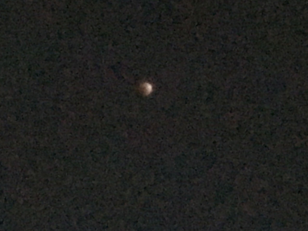 世界限定５０個のレア物入荷しました ２りんかんブログ