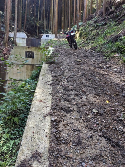 PXL_20251017_020240714