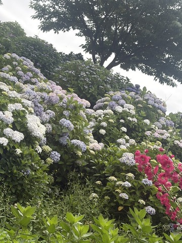 image2 (15)
