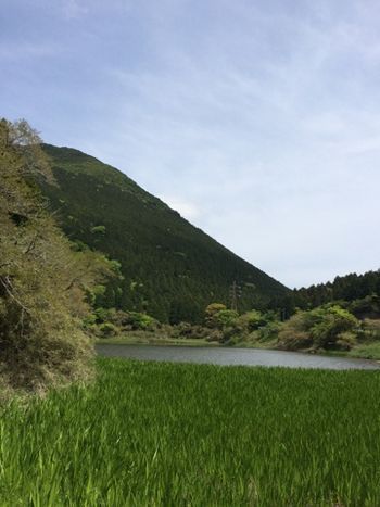 池裏