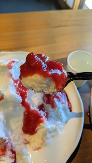 PXL_20250723_055411006