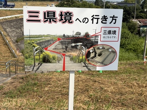 image2 (31)