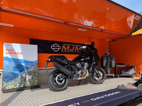 MJM»¥ËÚ¡¡»î¾è²ñ