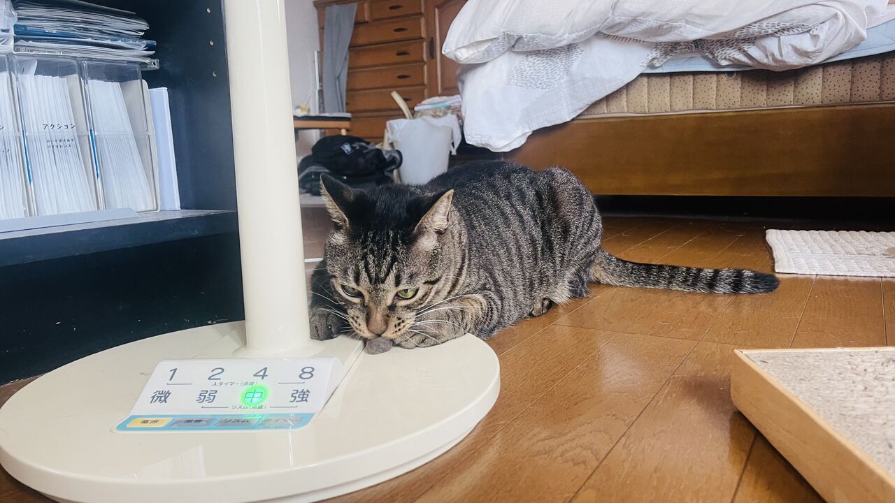 高松】ETC助成きゃんぺーん始まりました！【PIT】 : 2りんかんブログ
