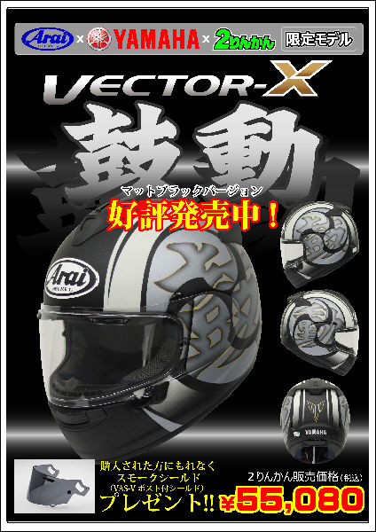 VECTOR-X_¸Ýư-A3_L