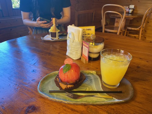 image1[1]