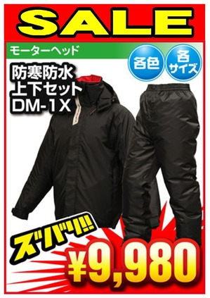 DM2-DM1X