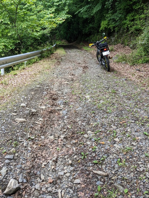 PXL_20220617_021705137