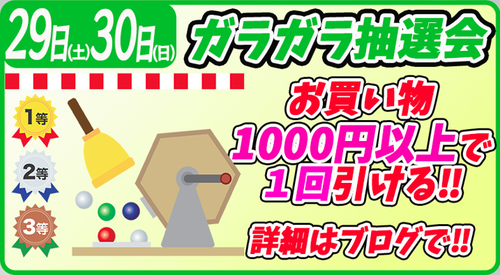 �����꡼�󥷥�å� 2026-07-14 172531