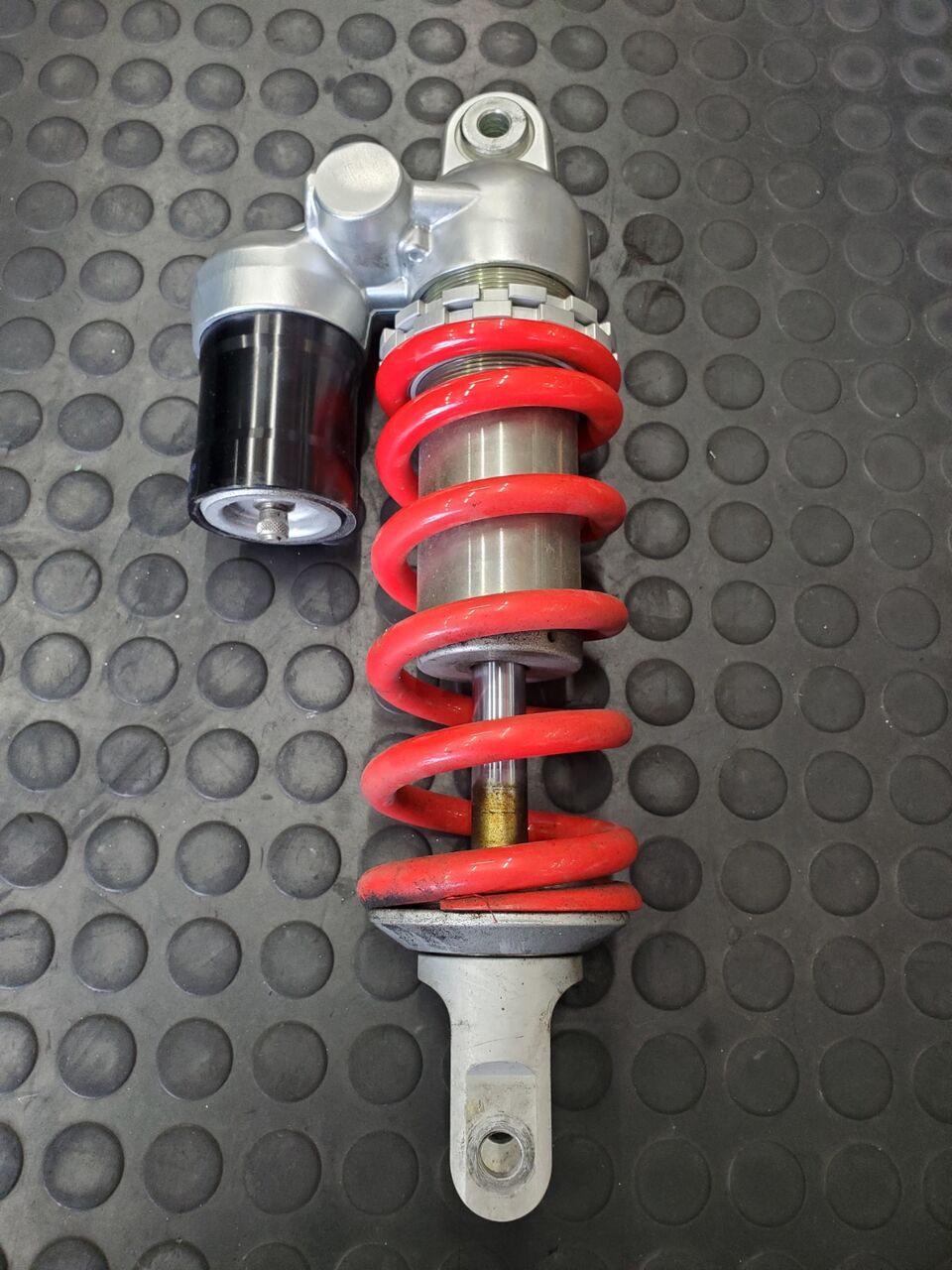 【現品　根付】錦玉園「シルバースプリングタイム」札なし R-tune PCリアスプリング ミディアム(2個入) [RD-016RM