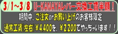 �����꡼�󥷥�å�_3-3-2026_161059_2rinkan.blog.jp