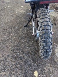 PXL_20251103_031324326