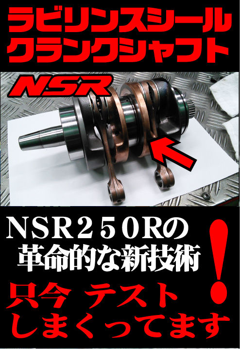 NSRŽ×ŽËŽÞŽØŽÝ޽¤½¤Î£²