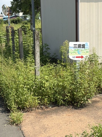 image3 (26)