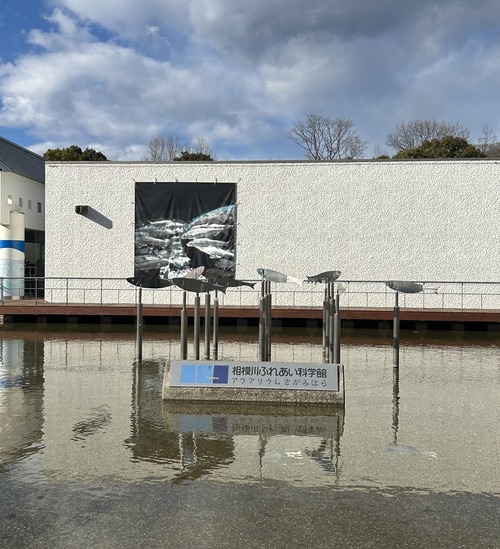 �դ줢���ʳش۳���