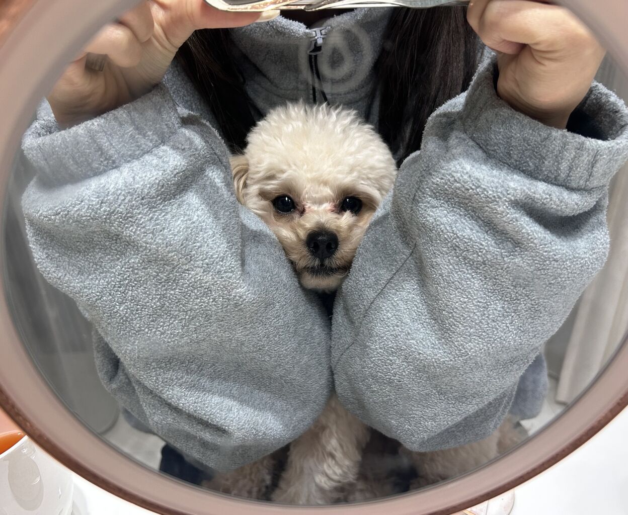 伏見2りんかん】𝟐𝟎𝟐𝟔✨新春初売り福袋(^o^)/ : 2りんかんブログ