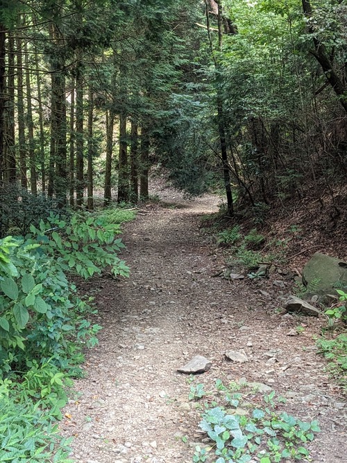 PXL_20250730_040913035
