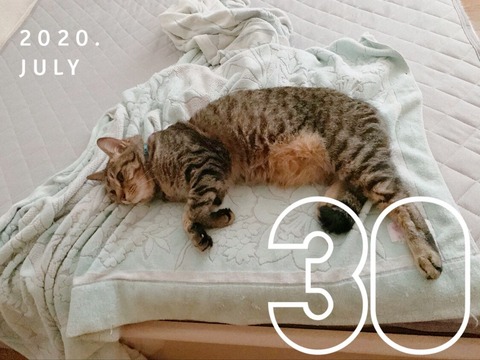 68D79C6E-26D0-4CDB-B2E1-A71B2152776B