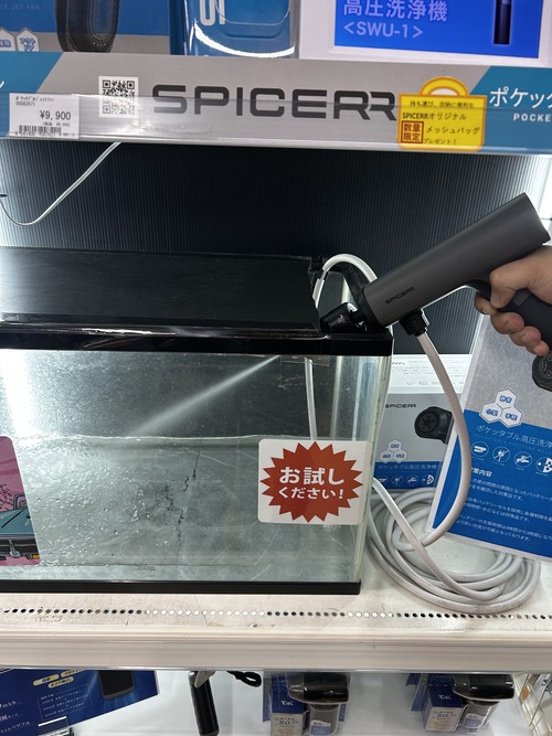 ���ѥ��������θ�����