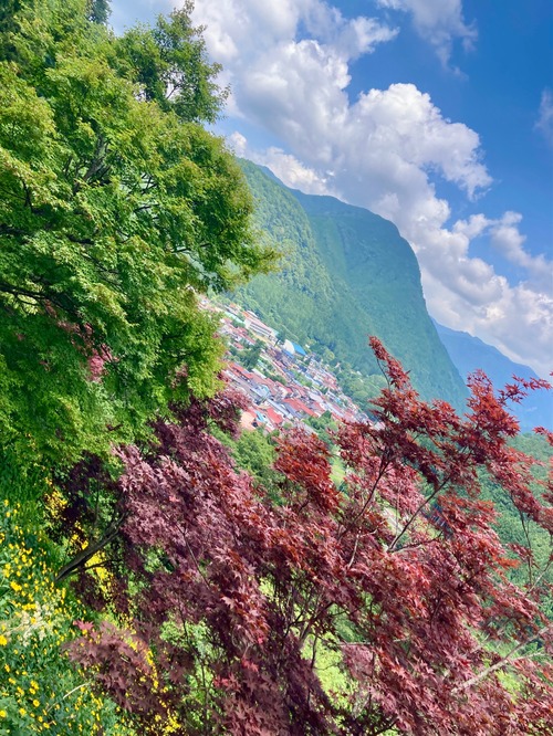 ���ξ夫��ηʿ�