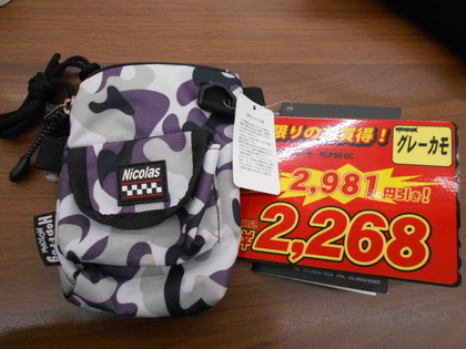DSCN5879