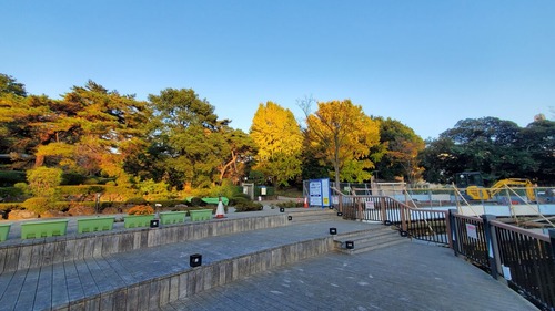20201117_153645