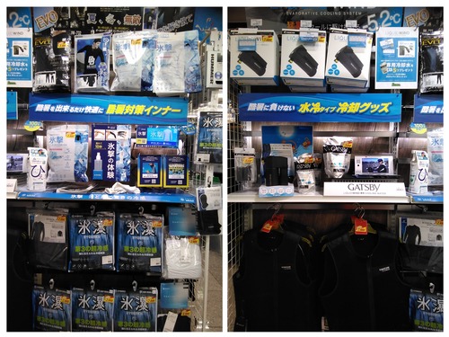 20240814_155141-COLLAGE